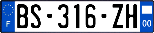 BS-316-ZH
