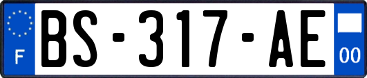 BS-317-AE