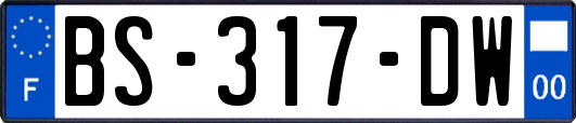 BS-317-DW