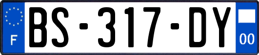 BS-317-DY