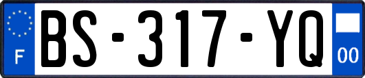 BS-317-YQ