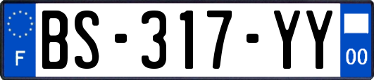 BS-317-YY