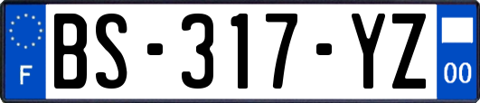BS-317-YZ