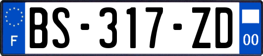 BS-317-ZD