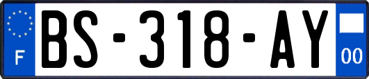 BS-318-AY