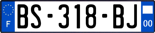 BS-318-BJ