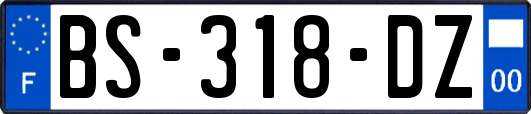 BS-318-DZ