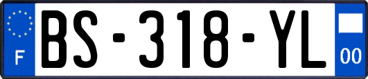 BS-318-YL
