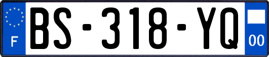 BS-318-YQ