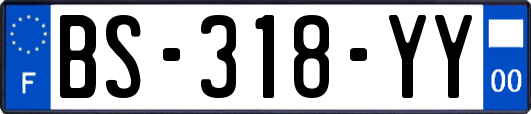 BS-318-YY