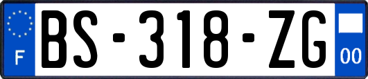 BS-318-ZG