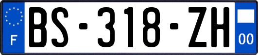 BS-318-ZH