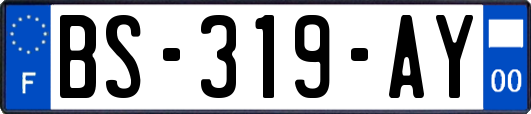 BS-319-AY