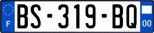 BS-319-BQ