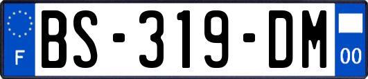 BS-319-DM