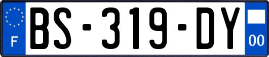 BS-319-DY