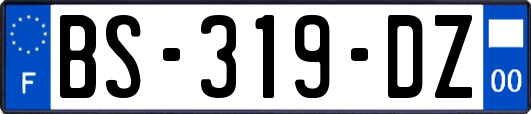 BS-319-DZ