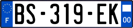 BS-319-EK