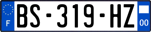 BS-319-HZ