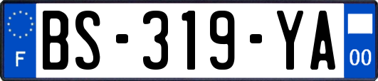 BS-319-YA
