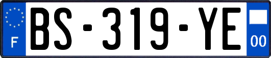BS-319-YE
