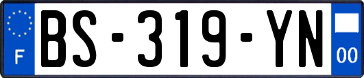 BS-319-YN
