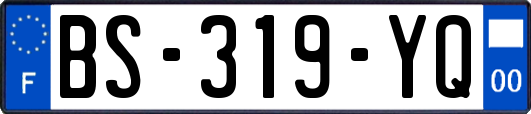 BS-319-YQ