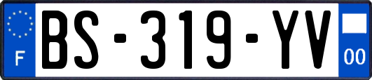 BS-319-YV