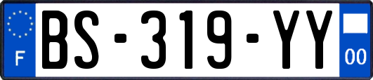 BS-319-YY