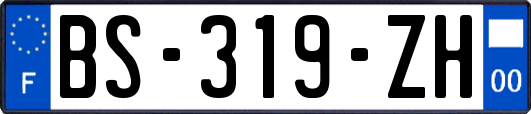 BS-319-ZH