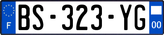 BS-323-YG