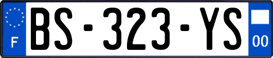 BS-323-YS