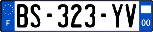 BS-323-YV