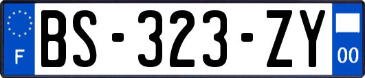 BS-323-ZY