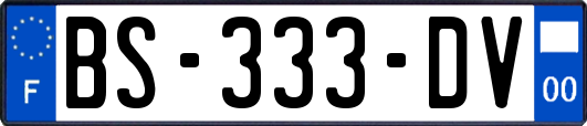 BS-333-DV