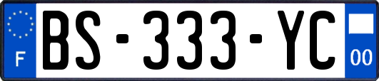 BS-333-YC
