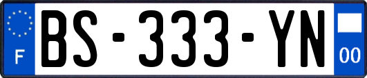 BS-333-YN