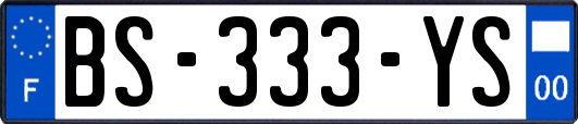 BS-333-YS