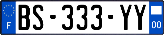 BS-333-YY