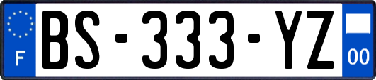 BS-333-YZ