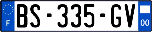 BS-335-GV