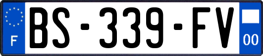 BS-339-FV