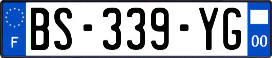 BS-339-YG