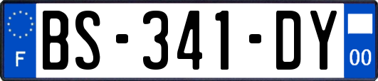 BS-341-DY