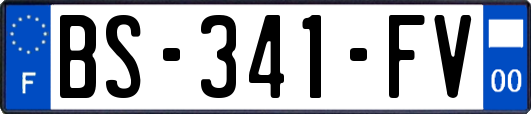 BS-341-FV