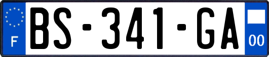 BS-341-GA