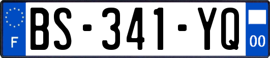 BS-341-YQ
