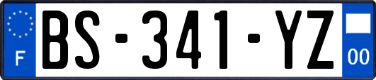 BS-341-YZ