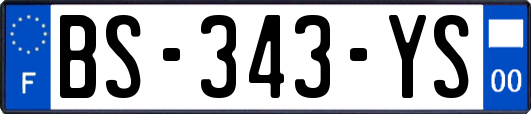 BS-343-YS