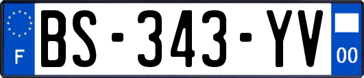 BS-343-YV